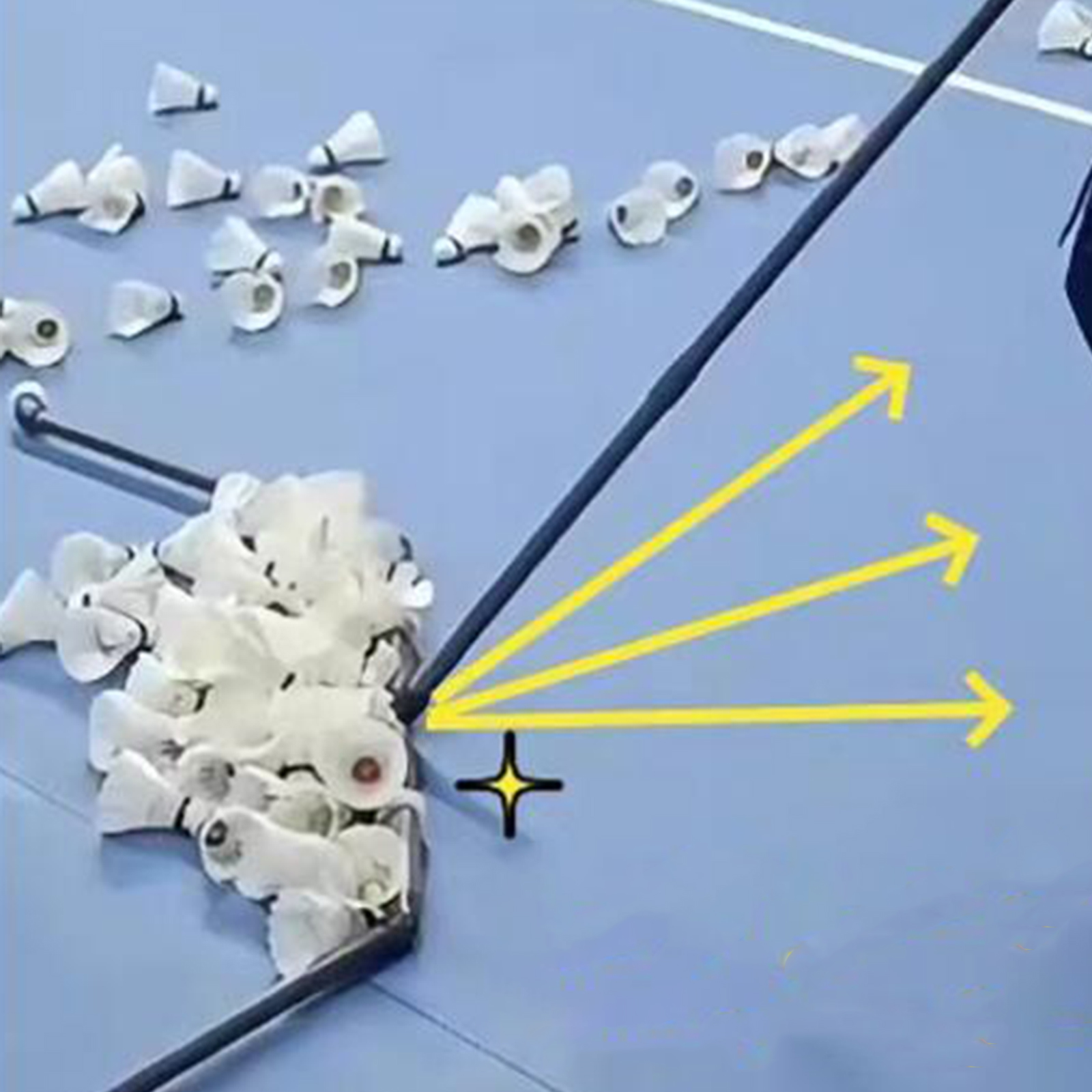 Badminton Shuttlecock Collecto - Badminton Set Garden recension och pris